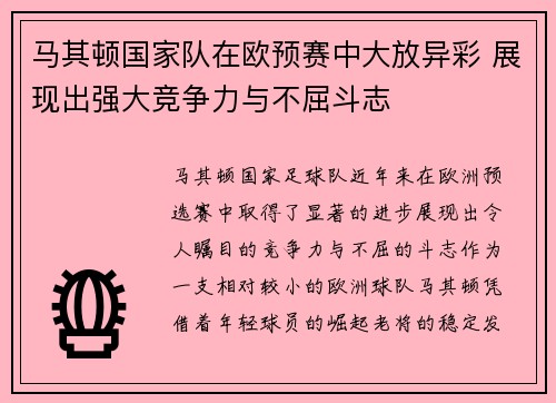 马其顿国家队在欧预赛中大放异彩 展现出强大竞争力与不屈斗志